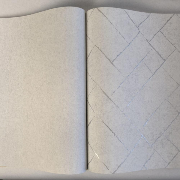 Andrea Rossi Cavolli 54422-1