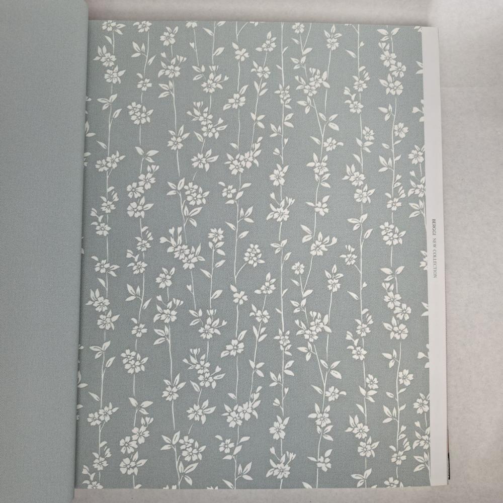 Andrea Rossi Berggi 54451-7 Andrea Rossi Berggi 54451-7