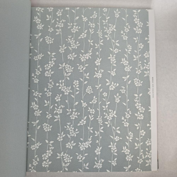 Andrea Rossi Berggi 54451-7 Andrea Rossi Berggi 54451-7