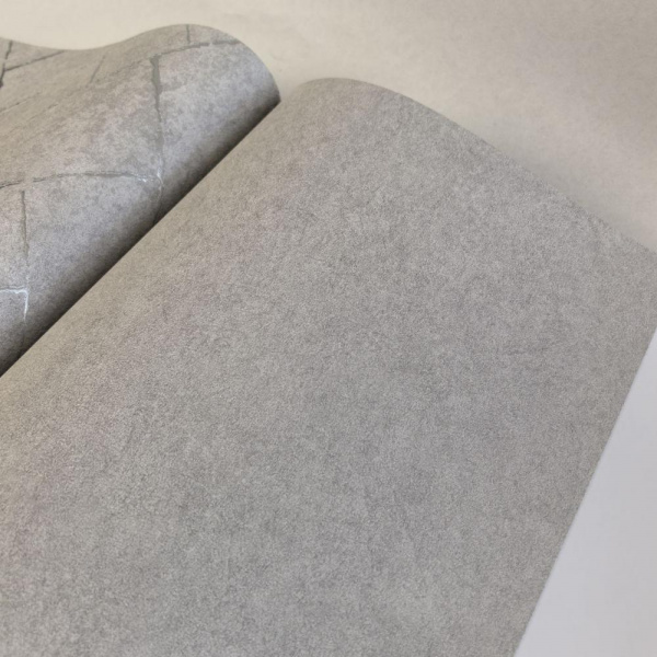 Andrea Rossi Cavolli 54422-8