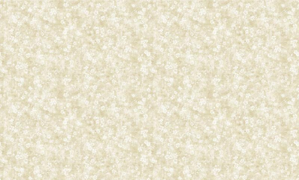 Bruno Zoff Gold 60124-2
