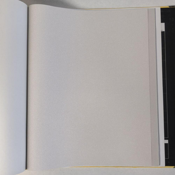 Andrea Rossi Cavolli 54414-3