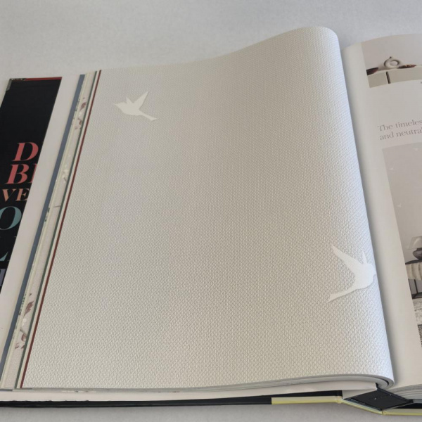 Andrea Rossi Spectrum Box 54458-5