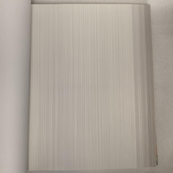 Andrea Rossi Berggi 54447-2