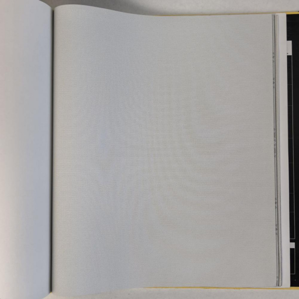 Andrea Rossi Cavolli 54416-6