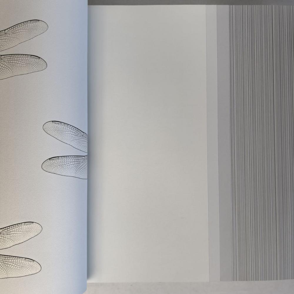 Andrea Rossi Cavolli 54424-1