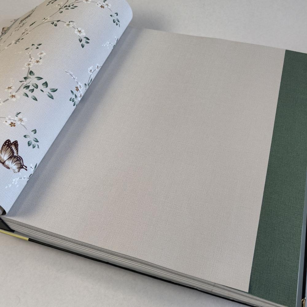 Andrea Rossi Spectrum Box 54459-3