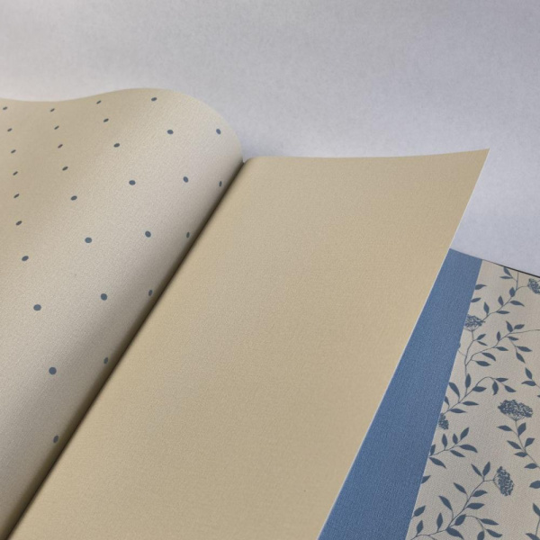 Andrea Rossi Spectrum Box 54455-18 Andrea Rossi Spectrum Box 54455-18