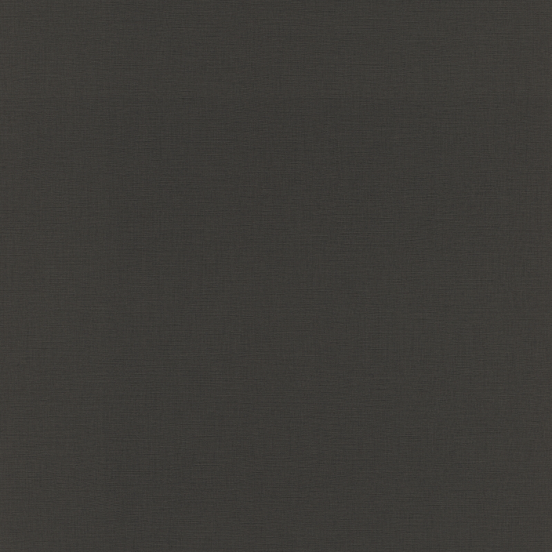 Salsa 531398